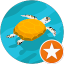 Saeed S profile picture